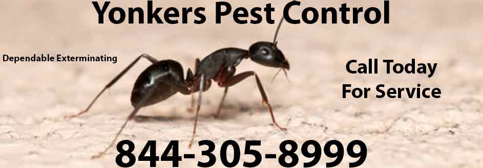 Yonkers Pest Control | Yonkers Exterminator | Pest Control
